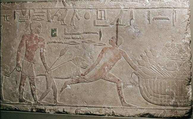 Hieroglyphs and artwork have survived the ages depicting Egyptian authorities using baboon on leashes to catch criminals, in much the way modern police would use a dog.