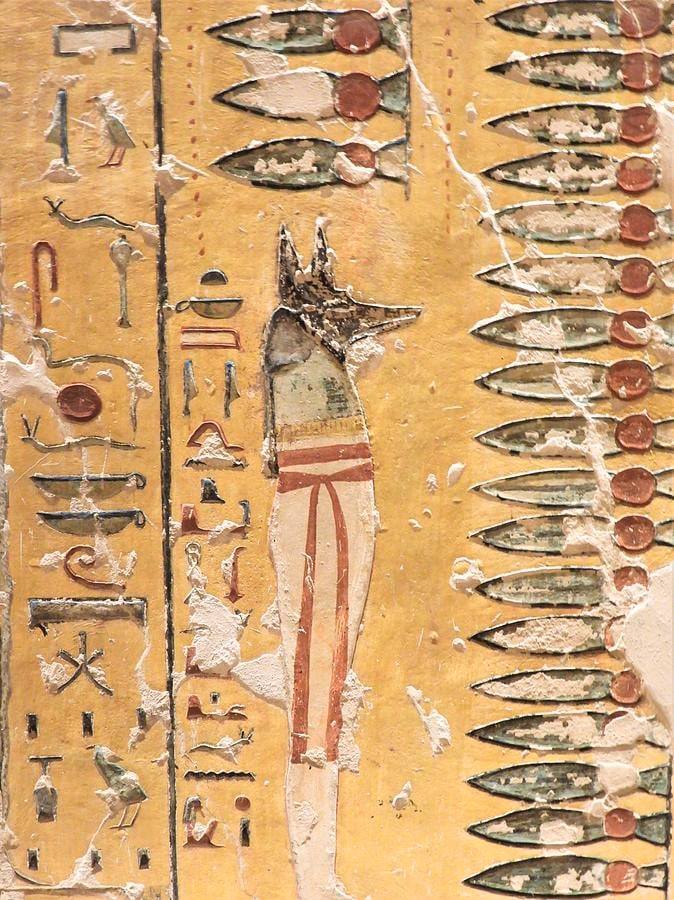 Decorative relief depicts the jackal-headed god Anubis